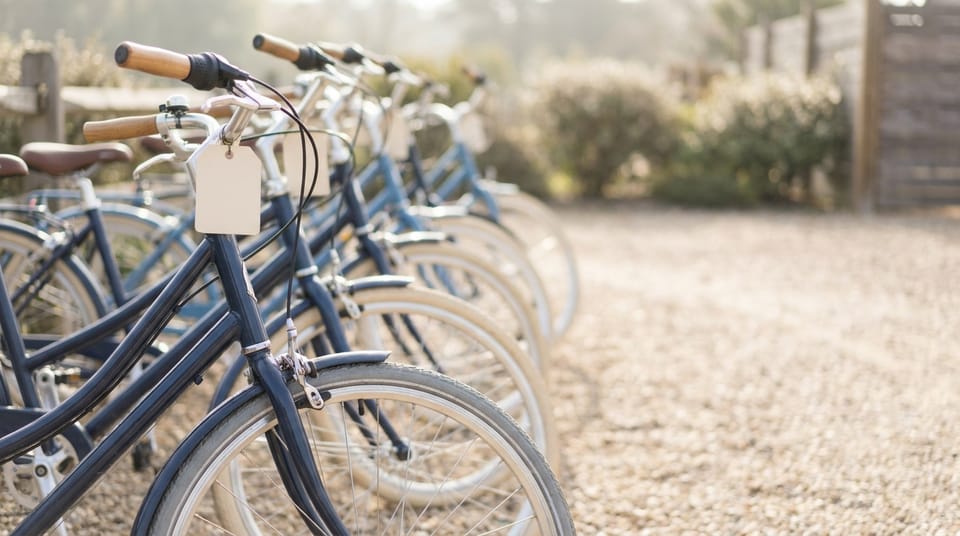 A row of rental bicycles on gravel in morning light, a blank paper tag hanging from the nearest handlebar.