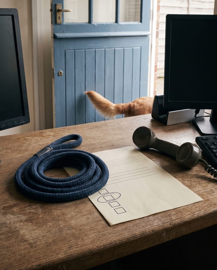 A boarding kennel front desk: a coiled dog lead, a paper intake form with empty boxes, a desk phone off its hook, an animal's tail passing a half-door.